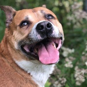 Meet your Posher, Jessie